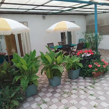 Flat Apartment